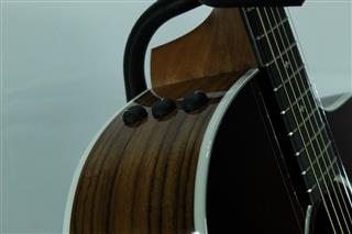 TAYLOR GUITARS 214CE DLX